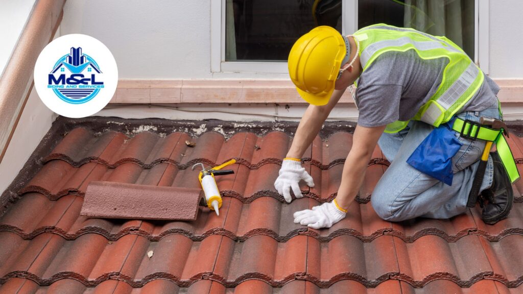 professional roof inspection
